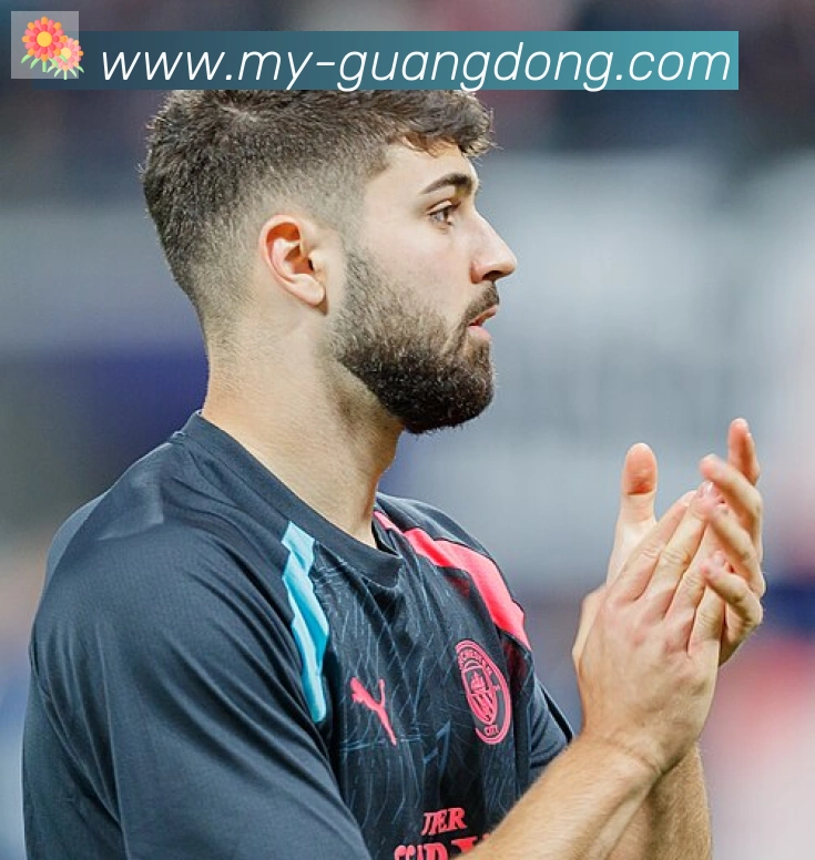 维尼修斯
